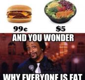 Why everyone is fat…