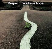Hope in the road…