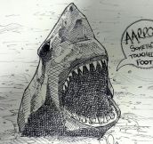 Things sharks never say…