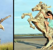 Driftwood Sculptures (12 Pics)