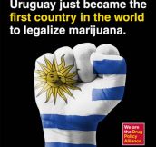 Breaking News! Go Uruguay!