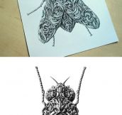Renaissance-style insect drawings