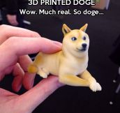 Doge print…