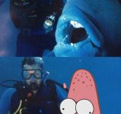 Patrick fish…