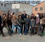 The cast of The Walking Dead…
