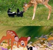 Bambi in real life…