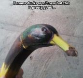 Banana duck…