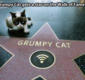 This cat has achieved more than I ever will…