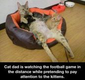 Cat dad…
