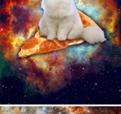 Pictures of majestic cats in space…