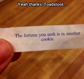 Thanks a lot fortune cookie…
