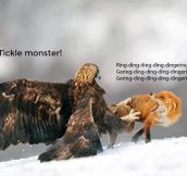 Tickle monster…