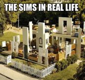 Real life Sims…
