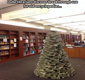 A librarian’s Christmas tree…