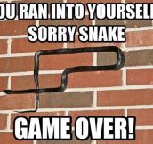 Game over snake…