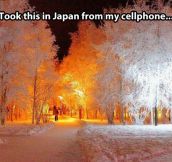 Japan landscape in winter…
