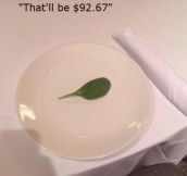 Expensive restaurants