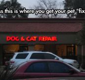 Get your pet ‘fixed’
