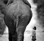Young girl and elephant