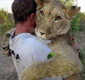 Animal hug…