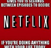 Netflix stop it, I need to live…