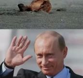Putin salute the worthy…