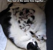 The cutest moment multiplied for two…