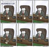 Business cat…