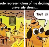 How university stress feels like…