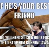 Your horse friend…