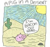 A pig in a desert…