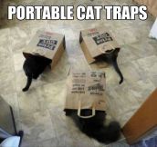 Portable cat traps are really useful…
