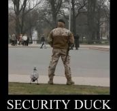 Security Duck is on patrol…