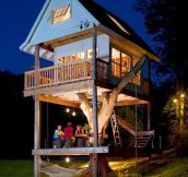 A tree house you could live in…