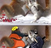 Naruto squirrel…
