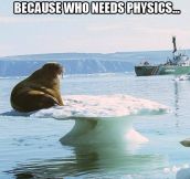 Next on Mythbusters: does gravity affect walruses?