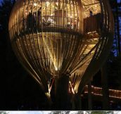 Tree houses of the world…
