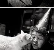 Japanese woman and her kitty best friend…