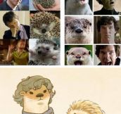 Sherlock and Redwall crossover…