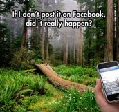If a tree falls in the forest and nobody with a phone is around…