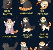 Harry Potter, cat version…