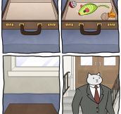Business cat getting ready for work…