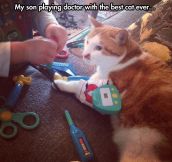 This is one patient cat…