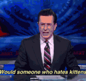 Colbert meets kittens…