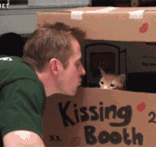 A kissing booth for internet…