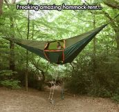 A hammock tent like no other…