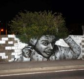 Tree graffiti…