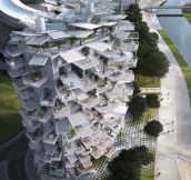 The ultimate tree house: Amazing white apartment block with trunk and branches will be built on French Mediterranean