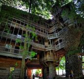 These 18 Tree Houses Are More Whimsical Than Your Wildest Dreams And They Actually EXIST!
