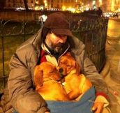 A homeless man keeps 2 stray puppies warm during the night…